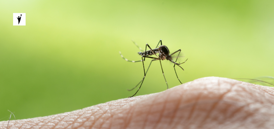 West Nile Virus